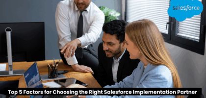 Implementation Partner