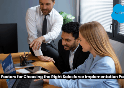 Implementation Partner